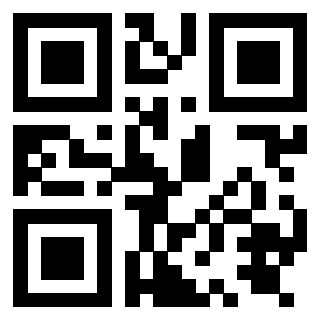 Il Qr Code di 3919875441