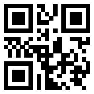 Il Qr Code di 3919875455