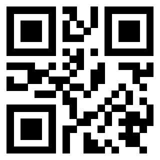 Il Qr Code di 3919875461