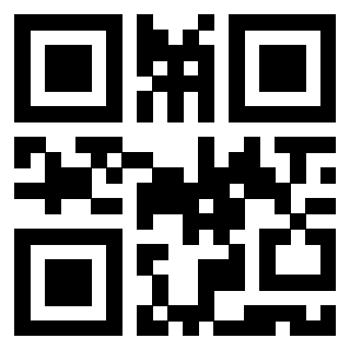 Il Qr Code di 3919875463