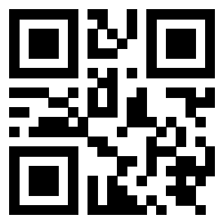QrCode di 3919875487