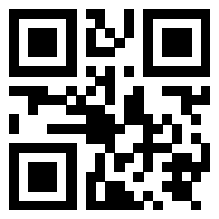 Il Qr Code di 3919875495