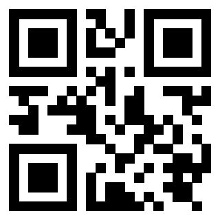 QrCode di 3919875498