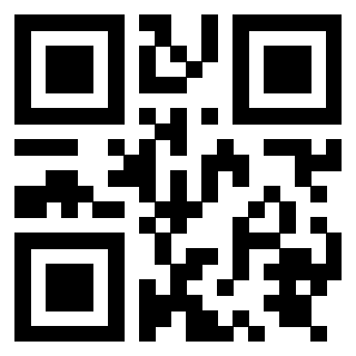 Il Qr Code di 3919875517