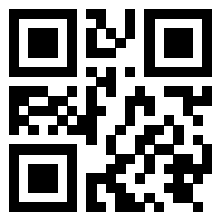 Il Qr Code di 3919875529
