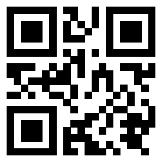 Il Qr Code di 3919875551