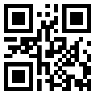 Il Qr Code di 3919875570