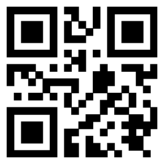 QrCode di 3919875588