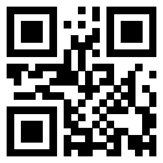 Il Qr Code di 3919875590