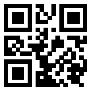 Il Qr Code di 3919875591