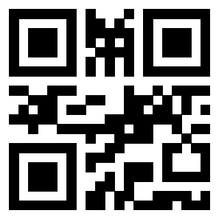 Il Qr Code di 3919875600
