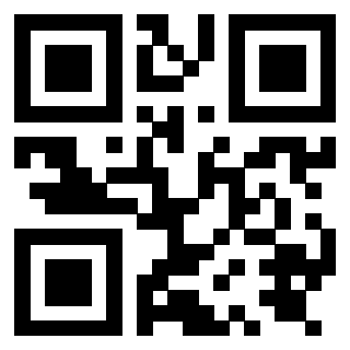Il Qr Code di 3919875610