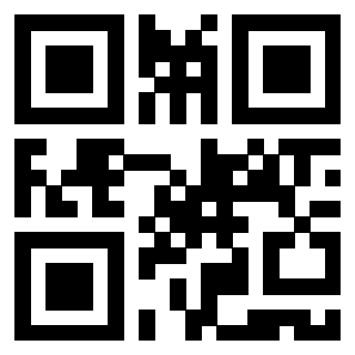 3919875613 Qr Code associato