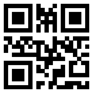 Il Qr Code di 3919875631