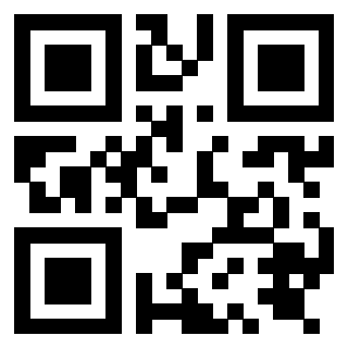 QrCode di 3919875634
