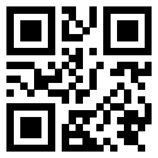 QrCode di 3919875641