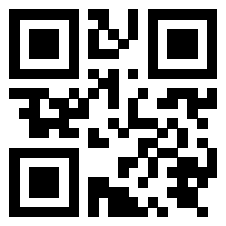 Il Qr Code di 3919875669
