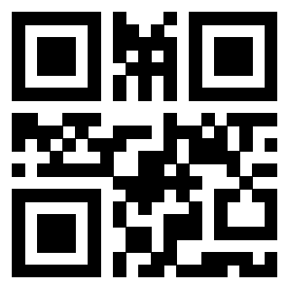 QrCode di 3919875673