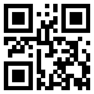 Il Qr Code di 3919875693