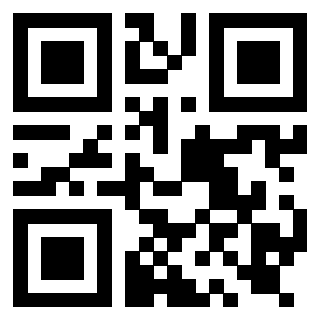 Il Qr Code di 3919916851