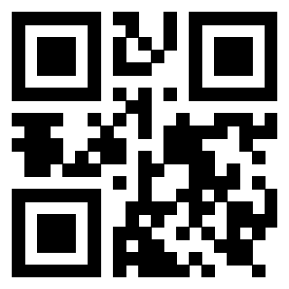 Il Qr Code di 3919916855