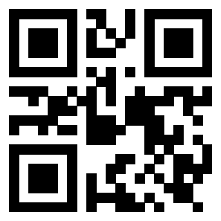 Il Qr Code di 3919916856