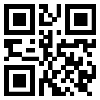 Il Qr Code di 3919916891