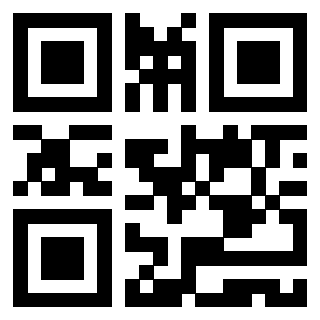 Il Qr Code di 3919916908