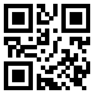 Il Qr Code di 3919916914