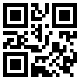 Il Qr Code di 3919916920