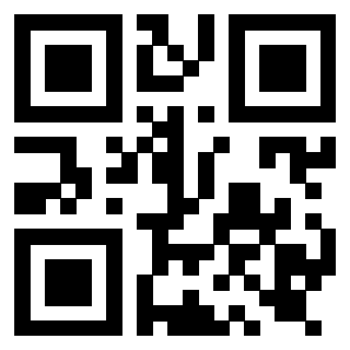 Il Qr Code di 3919916929