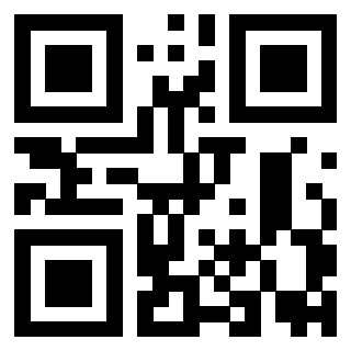 Il Qr Code di 3919916959