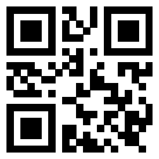 Il Qr Code di 3919916973