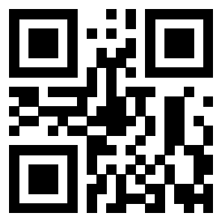 Il Qr Code di 3919916994
