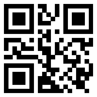 Il Qr Code di 3919917012