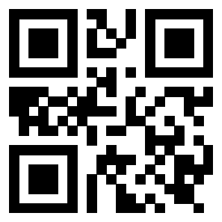 Il Qr Code di 3919917016