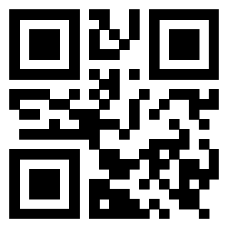 Il Qr Code di 3919917025