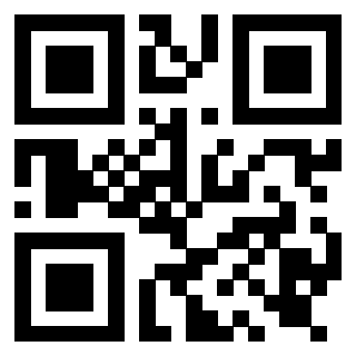 Il Qr Code di 3919917044