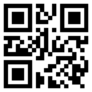 Il Qr Code di 3919917048