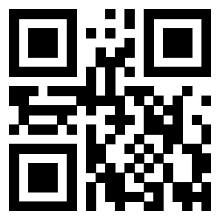 3919917060 QrCode associato