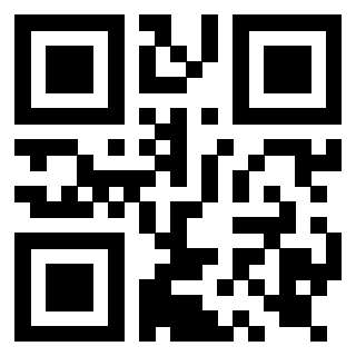 Il QrCode di 3919917063