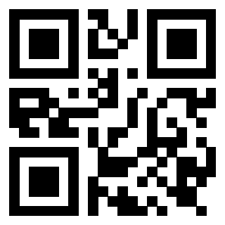 Il Qr Code di 3919917074