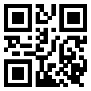 Il Qr Code di 3919917076
