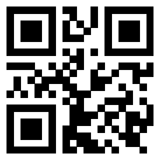 Il Qr Code di 3919917081