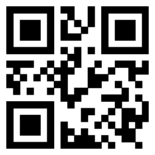 Il Qr Code di 3919917082