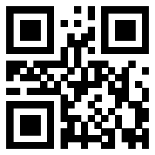 Il Qr Code di 3919917094