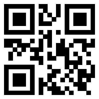 Il Qr Code di 3919917106