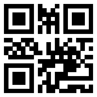 Il Qr Code di 3919917125