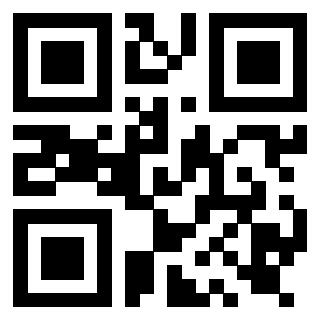 Il Qr Code di 3919917128
