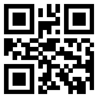 Il Qr Code di 3919917134